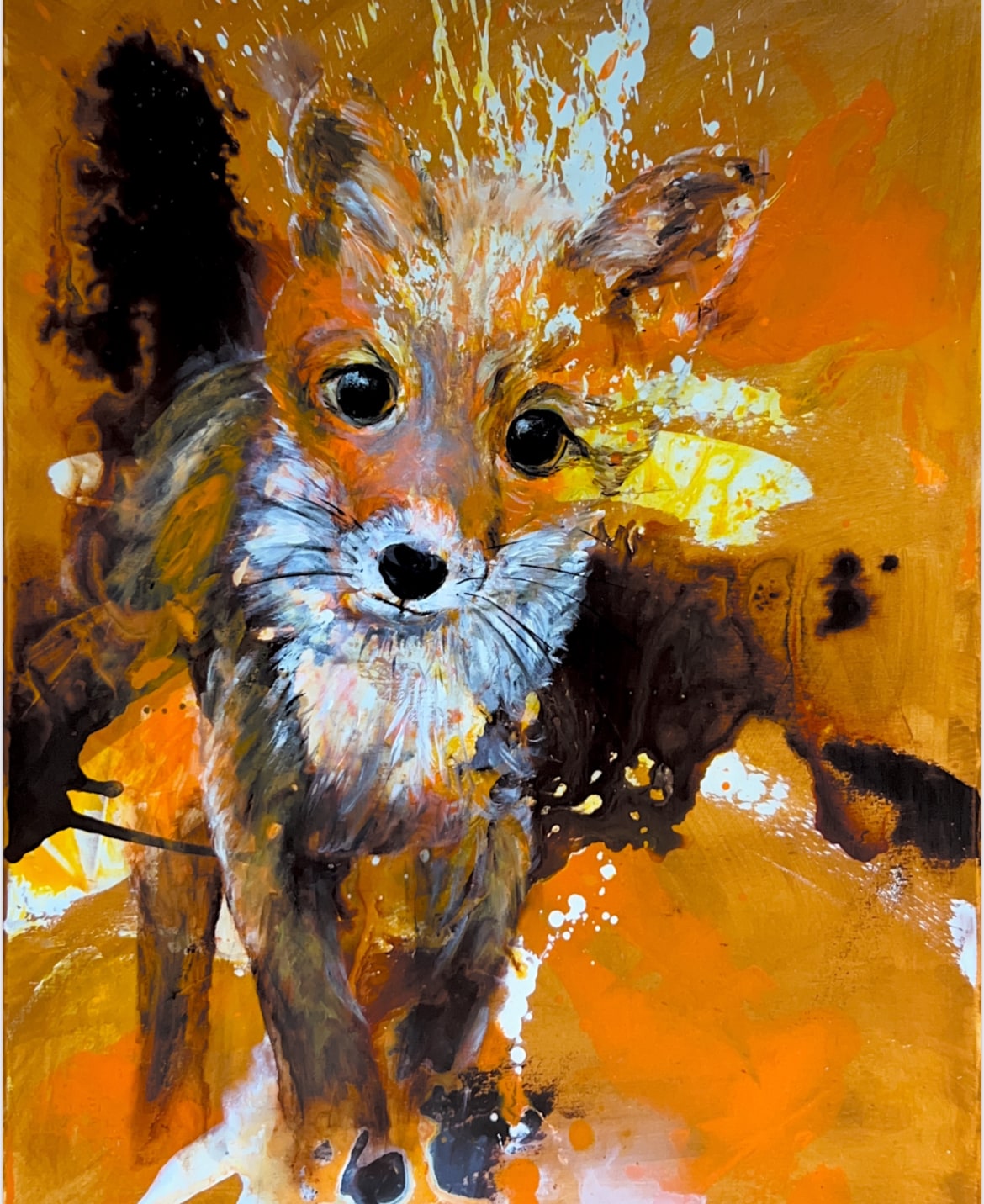 Leuchtender Fuchs in Orange und Weiß